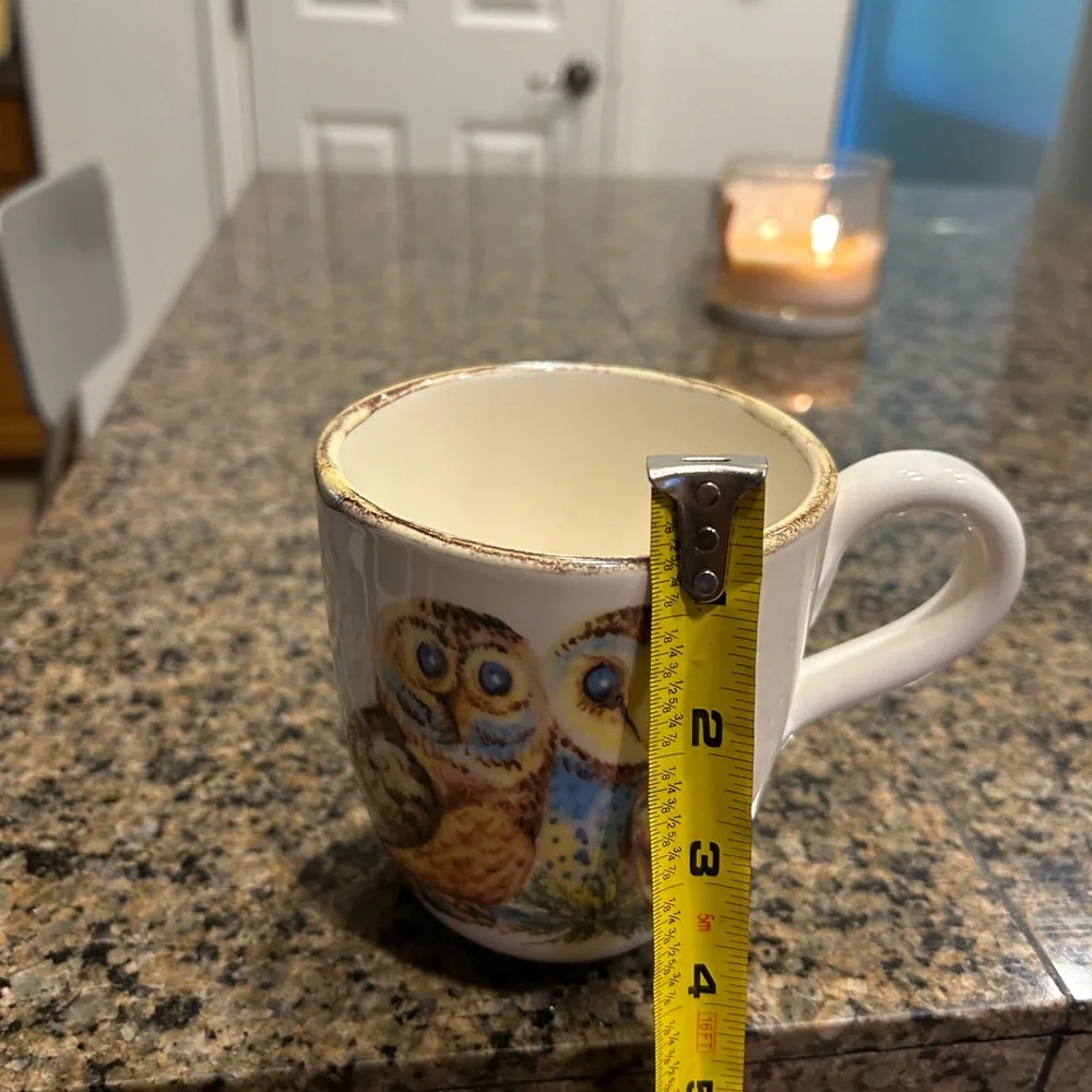 Sur La Table Owl Design Mug - Blue and Brown